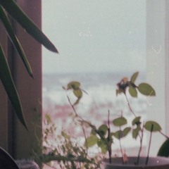 Annelene