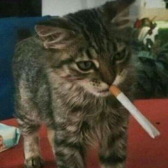 m0rf1n3