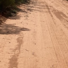 DoloresEsmeralda Bautista