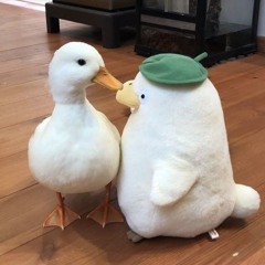duckluvesbread