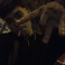 Leandro4_7