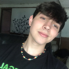 RexTazzy08