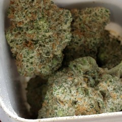 OG Nice 🦍🦍🦍