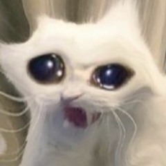 ###############ROR