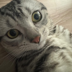 야와잉