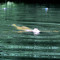 gameplay (sequoia jane)
