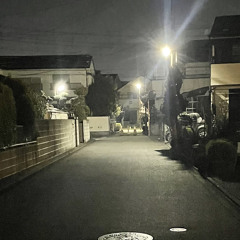 malyozworld