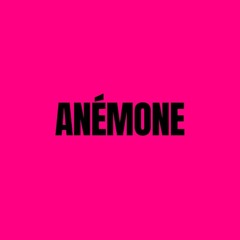 ANÉMONE