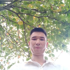 Việt Vinahouse