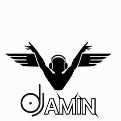 Dj AMIN