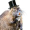 Sr. Nutria