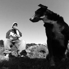 𝕹𝖎𝖈𝖔𝖌𝖔𝖑𝖑𝖔🐀