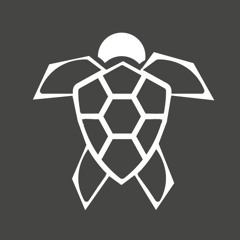 Turtle3