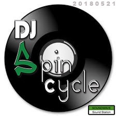 D.J. Spin Cycle