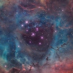 UNIVERSAL,Language MUSIC