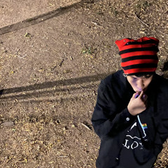 THEXNOISE