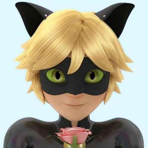 Stream cat noir music  Listen to songs, albums, playlists for free on  SoundCloud