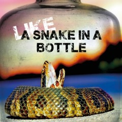 Like A Snake In a Bottle