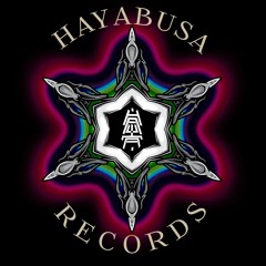 Hayabusa Record