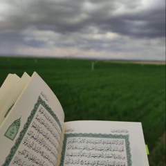 strictlyquran