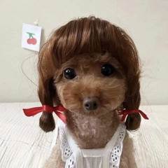 ‎