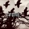 TFDRE