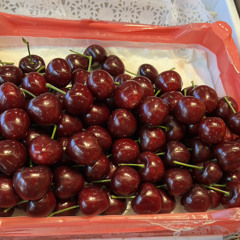 Đặng Khánh