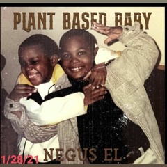 Plant Based Baby