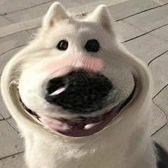 phamtuyen