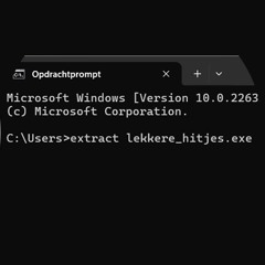 Lekkere_hitjes.exe