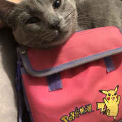 Lu