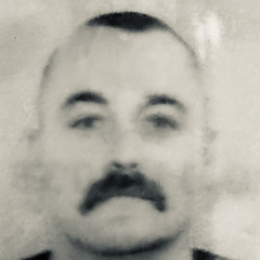Bandit