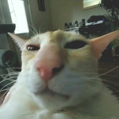 amongus
