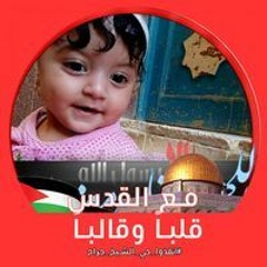 حمزة ابوحسونه بك