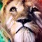 SuperLion10yt