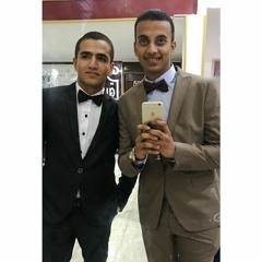 Omar Elmesallamy