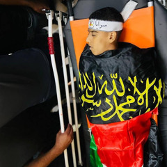 ابو ميلاد