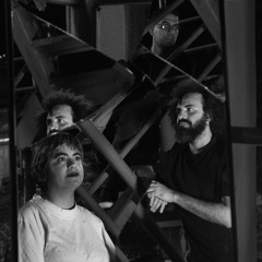 The Renegades of Punk