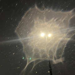 ppldsdrtrrr(КСАВЬЕРСООООООБАСЕД)