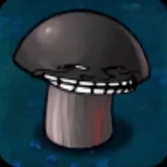 xxyr