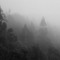 emptyvessel