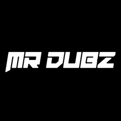 Mr Dubz