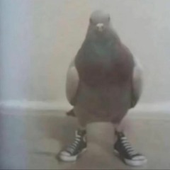 duckie7