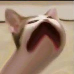 san