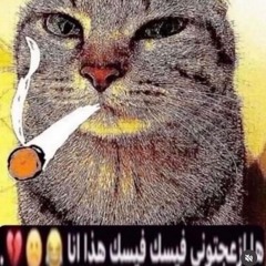 ymgdrank