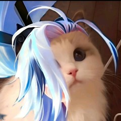 Shin