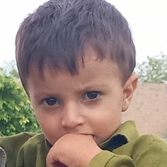 Qudratol Wazir