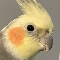 Deeb