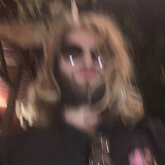 Daanvw003