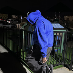 TreezyLyfe
